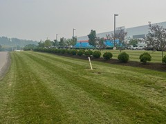 01282502