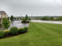 Commercial Lawncare