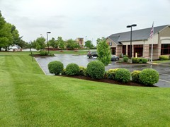 Commercial Lawncare